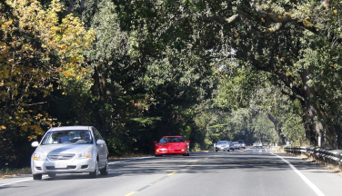 cars on roadway